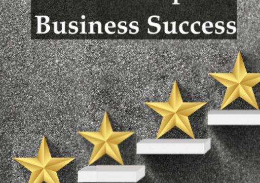 The Six Star Steps to Business Success Programme