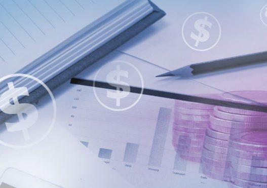Cost Control & Profit Margins