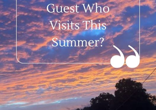 What Are You Doing With Every Guest Who Visits This Summer